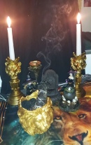 Madonna Tarots reader